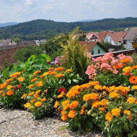 Gasthof Adler Guettingen Guttingen Kültér fotó